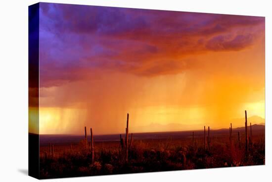 Evening Rain-Douglas Taylor-Premier Image Canvas