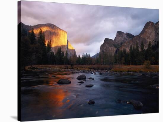 Evening Sun Lights up El Capitan and the Merced River-Phil Schermeister-Stretched Canvas