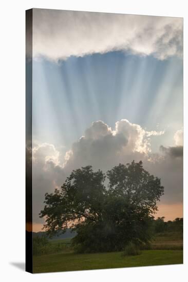 Evening Sunbeams, Sturgis, Michigan ‘10-Monte Nagler-Stretched Canvas