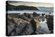 Evening sunlight on the rocky shores of Hope Cove, Devon, England, United Kingdom, Europe-Adam Burton-Premier Image Canvas