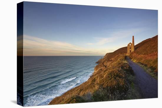 Evening sunlight on the ruins of a tin mine, on the Atlantic coast of Cornwall-Nigel Hicks-Premier Image Canvas