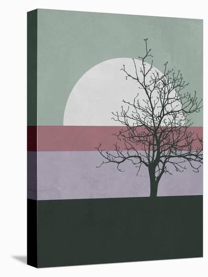 Evening Tree-Jasmine Woods-Stretched Canvas