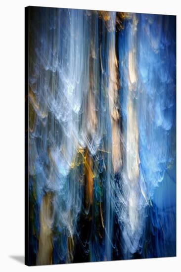 Evening Trees 1-Ursula Abresch-Premier Image Canvas