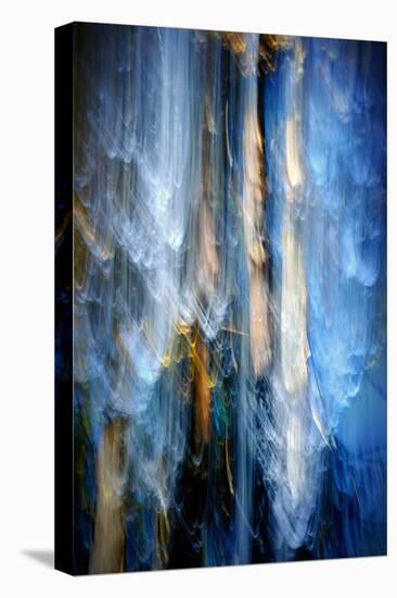 Evening Trees 1-Ursula Abresch-Premier Image Canvas