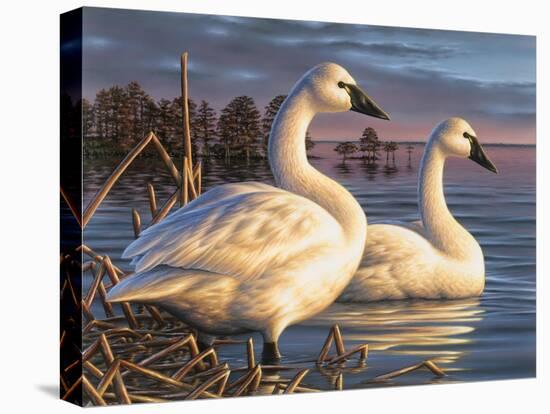 Evening Tundras-Chuck Black-Premier Image Canvas