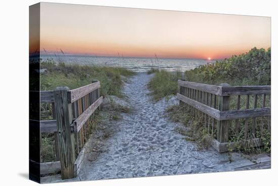 Evening Walk-Mary Lou Johnson-Stretched Canvas