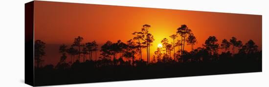 Everglades National Park, Florida, USA-null-Premier Image Canvas