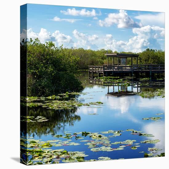 Everglades National Park - Unesco World Heritage Site - Florida - USA-Philippe Hugonnard-Premier Image Canvas