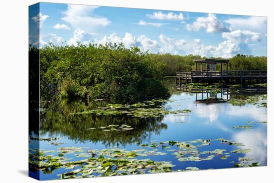Everglades National Park - Unesco World Heritage Site - Florida - USA-Philippe Hugonnard-Premier Image Canvas