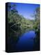 Everglades, Noosa, Queensland, Australia-Rob Mcleod-Premier Image Canvas