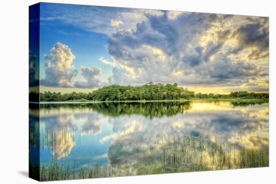 Everglades Sunset-Dennis Goodman-Premier Image Canvas