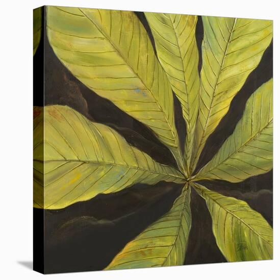 Evergreen I-Patricia Pinto-Stretched Canvas