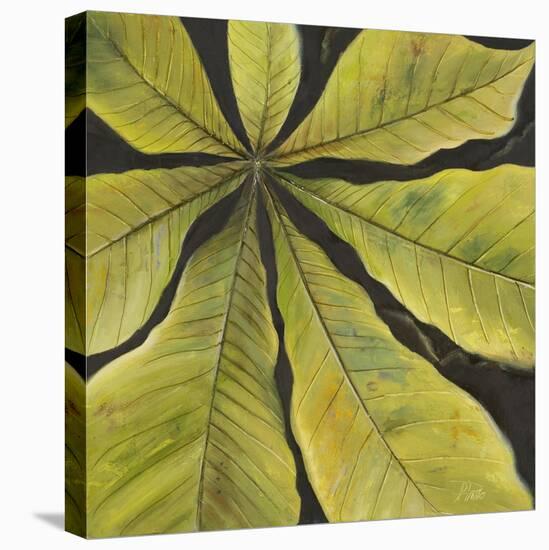 Evergreen II-Patricia Pinto-Stretched Canvas