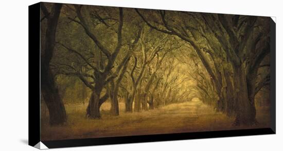 Evergreen, New Alley, Right Side-William Guion-Stretched Canvas