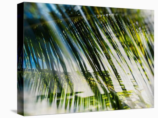 Evergreen No. 10-Sven Pfrommer-Premier Image Canvas
