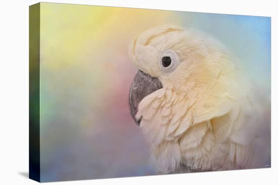 Every Day Is Colorful Umbrella Cockatoo-Jai Johnson-Premier Image Canvas