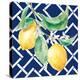 Everyday Chinoiserie Lemons I-Mary Urban-Stretched Canvas