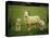 Ewe and Twin Lambs on Sheep Farm, Marlborough, South Island, New Zealand-Julia Thorne-Premier Image Canvas