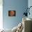 Excellent Closeup of a Full Moon-null-Premier Image Canvas displayed on a wall