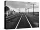 Excellent of Southern Pacific Railroad Tracks Stretching Off Into the Distance-Frank Scherschel-Premier Image Canvas