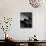 Excellent Photgraph of Pianist Josef Hofmann Seated at Piano in His Studio-Gjon Mili-Premier Image Canvas displayed on a wall