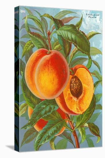 Excelsior Peach-null-Stretched Canvas