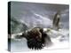 Exodus-Spencer Williams-Premier Image Canvas