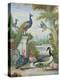 Exotic Birds and Domestic Fowl in a Picturesque Park, Early 18th Century-Jakob Bogdany-Premier Image Canvas