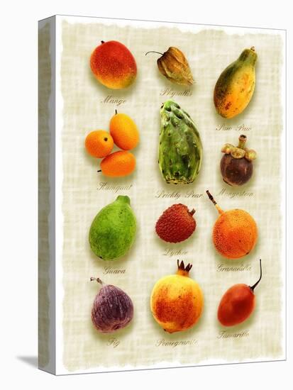 Exotic Fruit in Style of a Painting-Peter Howard Smith-Premier Image Canvas