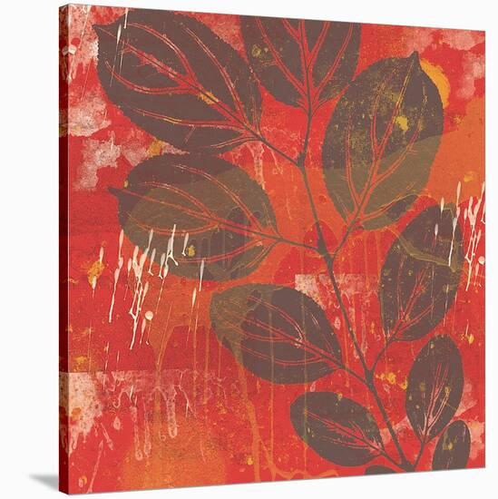 Exotic Vine-Erin Clark-Stretched Canvas