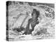 Exuberant Young Girl Getting Splashed by a Wave in the Surf at Jones Beach-Alfred Eisenstaedt-Premier Image Canvas
