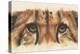 Eye-Catching Cheetah-Barbara Keith-Premier Image Canvas