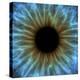 Eye, Iris-PASIEKA-Premier Image Canvas