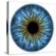 Eye, Iris-PASIEKA-Premier Image Canvas