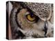 Eye of a Great Horned Owl-W. Perry Conway-Premier Image Canvas