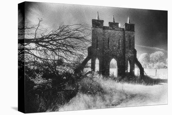 Eyecatcher, Belview House, County Galway, Ireland-Simon Marsden-Premier Image Canvas