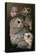 Eyes of the Night - Owls-Wilhelm Goebel-Premier Image Canvas