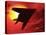 F117a Nighthawk Stealth Fighter-Victor Habbick-Premier Image Canvas