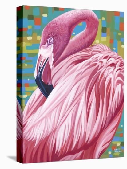 Fabulous Flamingos II-Carolee Vitaletti-Stretched Canvas