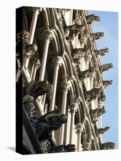 Facade with False Gargoyles, Eglise Notre-Dame, Dijon, Burgundy, France-Adam Woolfitt-Premier Image Canvas