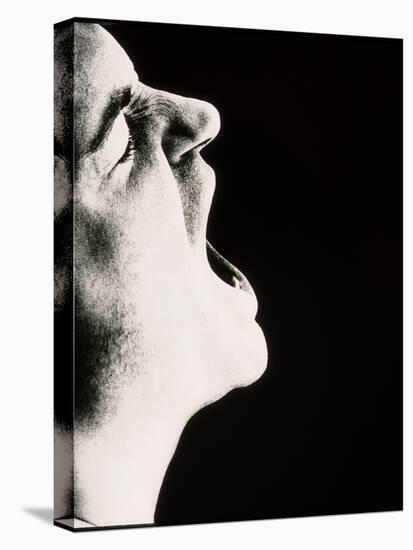 Face of Man Screaming In Rage Or Pain (side View)-Cristina-Premier Image Canvas