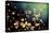 Fairies in My Garden-Incredi-Premier Image Canvas