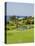 Fairmont Southampton Hotel and Golf Club, Bermuda, Central America-Michael DeFreitas-Premier Image Canvas