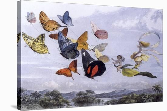 Fairy Butterflies 1-Vintage Apple Collection-Premier Image Canvas