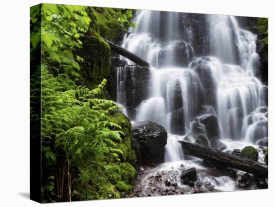 Fairy Falls in the Columbia River Gorge Outside of Portland, Or-Ryan Wright-Premier Image Canvas