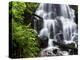 Fairy Falls in the Columbia River Gorge Outside of Portland, Or-Ryan Wright-Premier Image Canvas