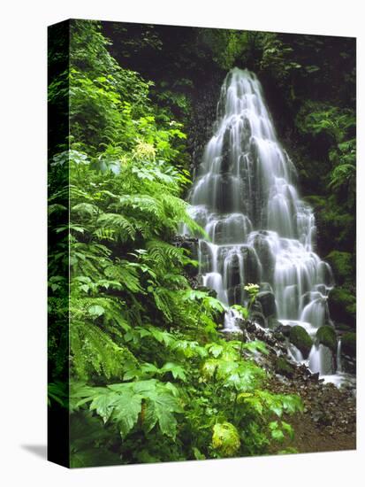 Fairy Falls Tumbling Down Basalt Rocks, Columbia River Gorge National Scenic Area, Oregon, USA-Steve Terrill-Premier Image Canvas