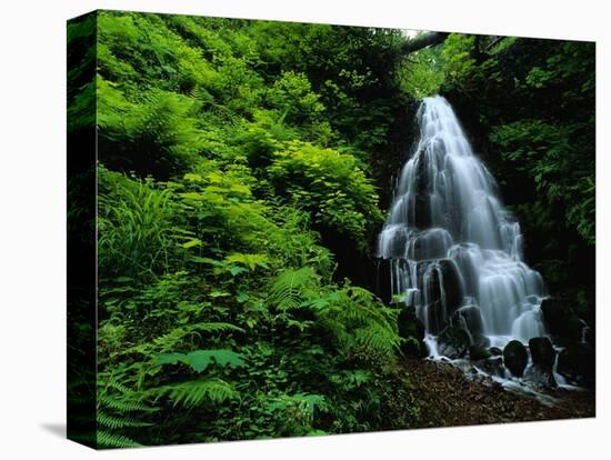 Fairy Falls-Bill Ross-Premier Image Canvas