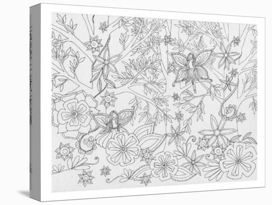 Fairy Floral-Pam Varacek-Stretched Canvas