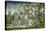 Fairy Procession-Wayne Anderson-Premier Image Canvas